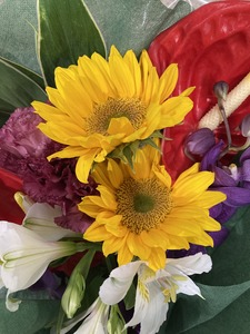 IMG_4157.jpeg